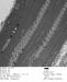 0 R12926 15_001.JPG